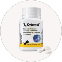Hormone & Thyroid Health