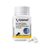 Hormone & Thyroid Health
