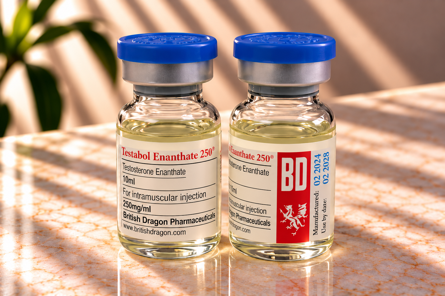 Testabol Enanthate 250 BD