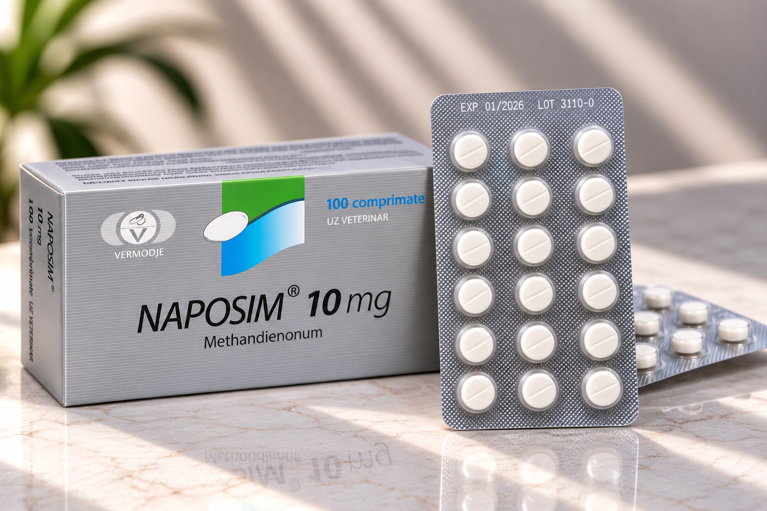 Naposim (10mg/100tab.)